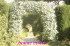 bonne visite.gif